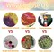 5D Mount Fuji Diamond Painting Kits for Adult, Mountain Sakura Diamond Art Kits for Beginners, DIY Full Drill Floral Diamond Dot Gem Art Kits for Home Decor 12 x 16 Inch Cherry